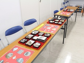 ミニ博物館の様子イメージ3